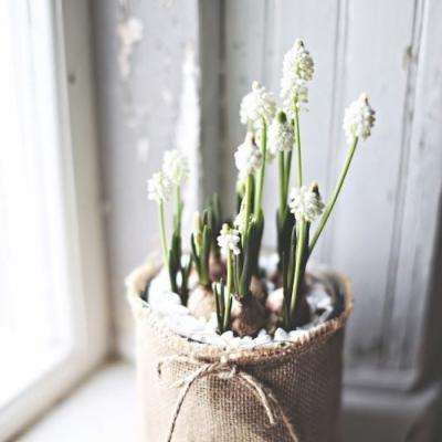 四驱车疯狂仓库